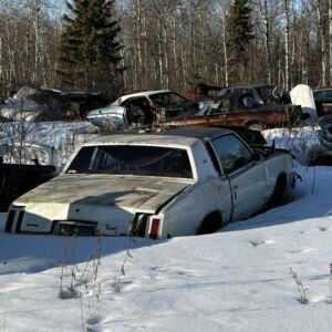 1979 Oldsmobile 442 W-30
