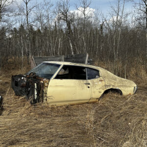 1971 Chevrolet Chevelle